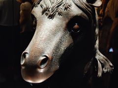 -广西壮族自治区博物馆