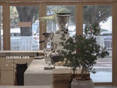 大堂-素咫咖啡CLIFEROSE