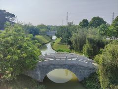 -王借岗森林公园