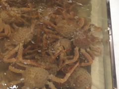-蟹将军·松叶蟹和牛日料放题自助(K11店)