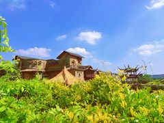 -呀路古热带植物园