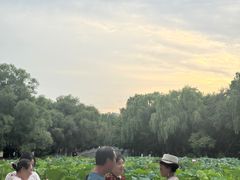 -北陵公园