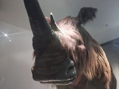 -大庆市博物馆