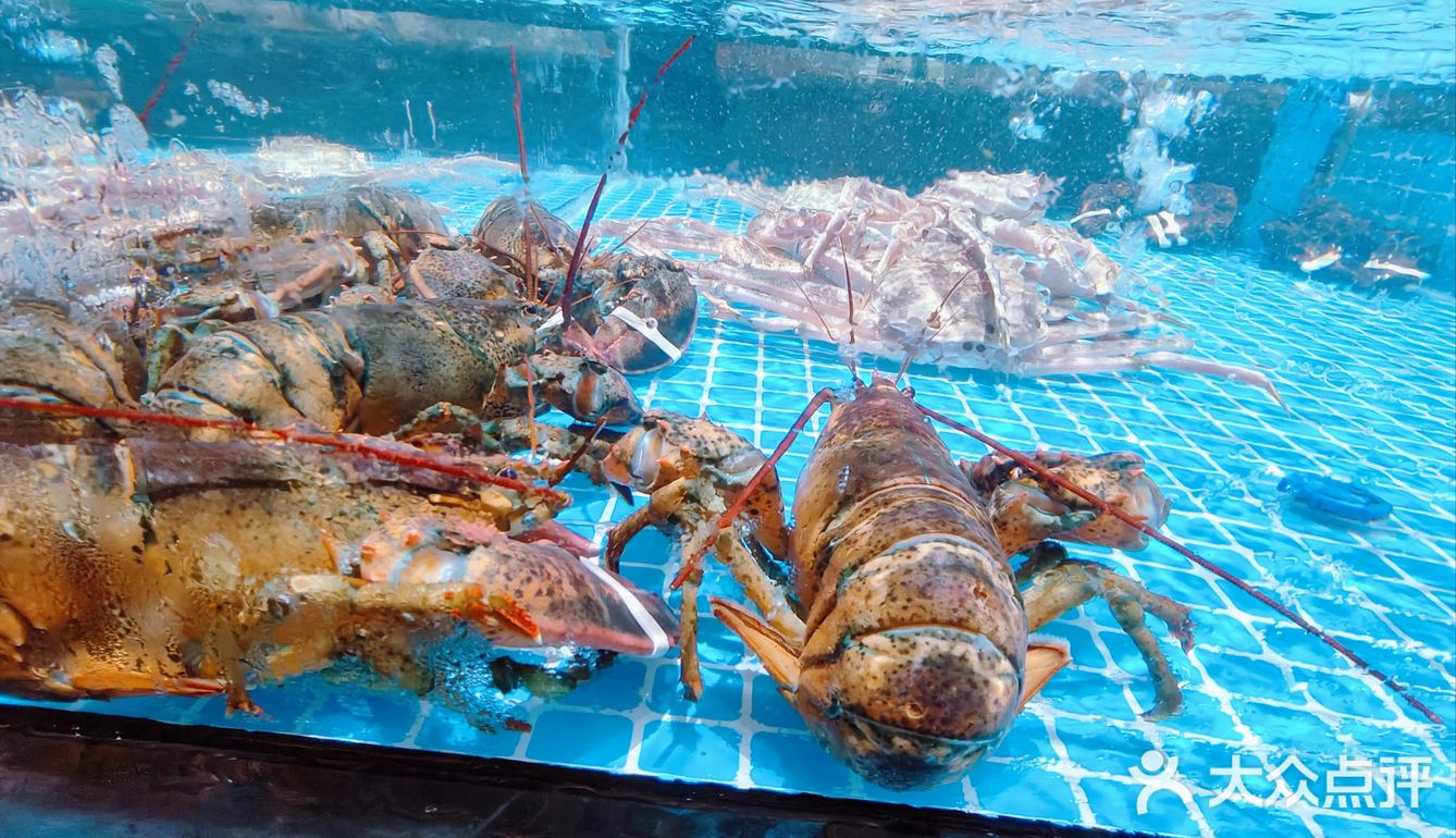 心意满满的暖心菜