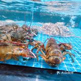 心意满满的暖心菜