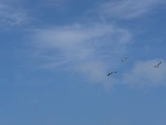 -海驴岛(荣成市)