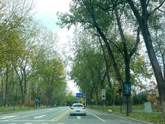 -尚湖风景区