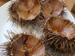 -海胆小馆(东北水饺·春柳店)