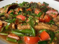 -生态苑农庄(十里画廊遇龙河店)