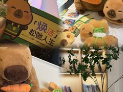 -金色印象·HiFi影音·按摩足疗(龙腾路店)