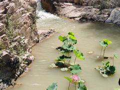 -桑干河大峡谷旅游区