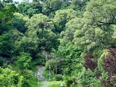 -金鸡山公园