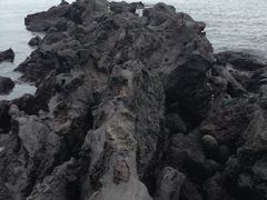 iphone_upload_pic-龙头岩(Dragon Head Rock)