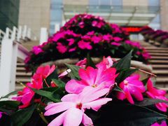 -吉林大学(前卫南区)