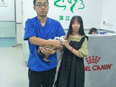 -美美宠物诊疗中心·异宠·骨科(滨江东信分院)