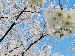 -龙美术馆(西岸馆)