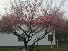 -荆川公园