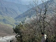 -安吉龙王山风景区