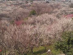 景点-林屋洞景区