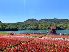 -广州市石门国家森林公园