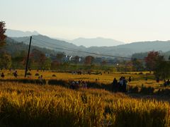 -塔川景区