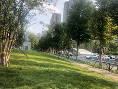 -龙头寺公园