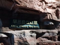 -辽宁古生物博物馆