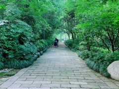 -杭州半山国家森林公园