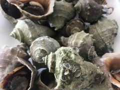 -常家活海鲜小吃(仅一家无分店)