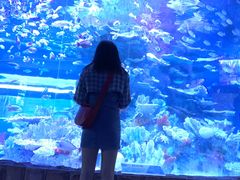 -左海海底世界
