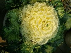 -乐山大佛风景名胜区乌尤寺南门-售票点