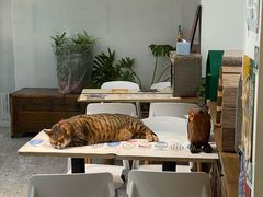 -小时光咖啡馆(北锣鼓巷店)