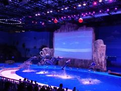 -华夏文旅海洋公园