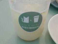 -有猫主题·治愈系猫咖(曾厝垵店)
