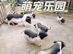 -青青世界