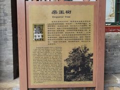 -潭柘寺景区