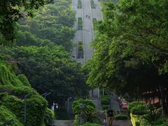 -青礁慈济宫