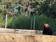 -秦皇岛野生动物园
