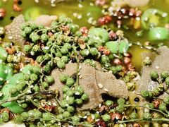 -宫燕府·京菜·烤鸭·淮扬菜(王府中心店)