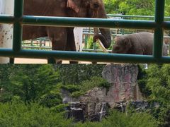 -秦皇岛野生动物园