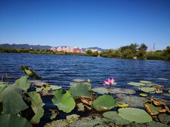 -永定河休闲森林公园