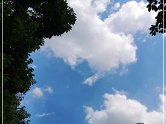 -索菲特酒店·乐轩华中餐厅