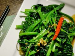 秘制虾酱炒空心菜-帕蓝·暹罗料理(曲阳店)