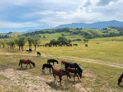 -新疆那拉提国家旅游度假区