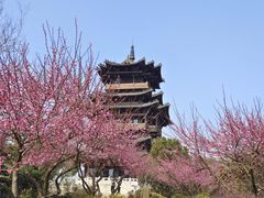 -杭州半山国家森林公园