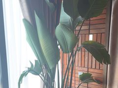 -泰合玺·精油疗愈SPA(狮山天街生活广场店)