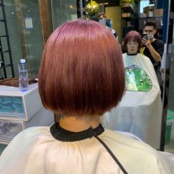 -藤野造型·烫染