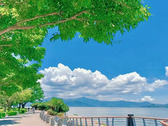 -深圳湾公园(南山区)