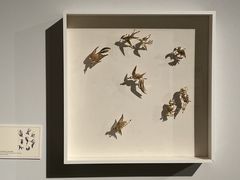 -清华大学艺术博物馆