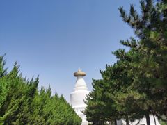 -凉州白塔寺景区